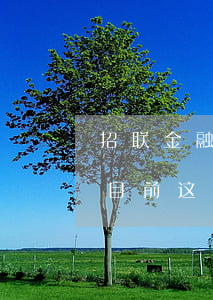 招联金融欠款逾期二年(招联金融逾期半年了目前这种情况更是无力还款了怎么办)