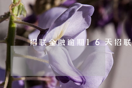 招联金融逾期16天(招联金融逾期16天了)