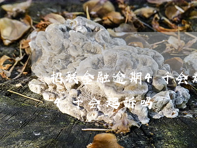 招联金融逾期4千会起诉吗-招联金融逾期4千会起诉吗