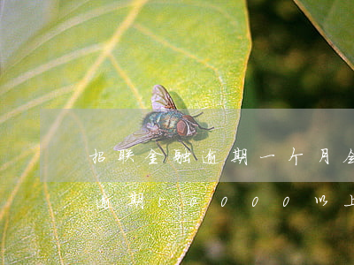 招联金融逾期一个月会被起诉吗-招联金融逾期50000以上多久会起诉