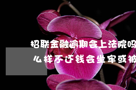 招联金融逾期会上法院吗(招联金融逾期会怎么样?不还钱会坐牢或被起诉吗)