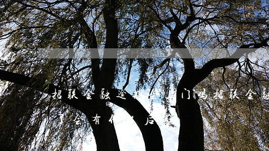 招联金融逾期会上门吗 招联金融逾期半个月了会有什么后果?