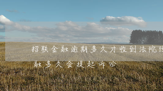 招联金融逾期多久才收到法院传票-招联金融多久会提起诉讼