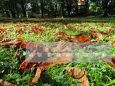 招联金融逾期寄律师函过来了(招联金融欠500三个月真的会发律师函吗)