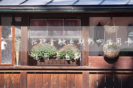 招联金融逾期影响信用卡(招联金融说我银行信用卡逾期)