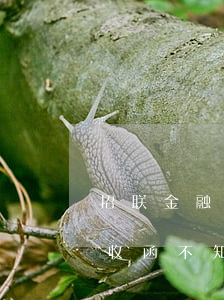 招联金融逾期欠款催收函(收到招联金融的催收函不知道是真是假)