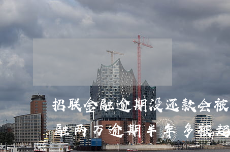 招联金融逾期没还款会被起诉(有人欠招联金融两万逾期半年多被起诉的吗)