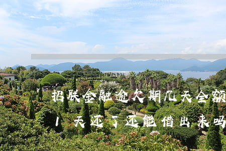 招联金融逾欠期几天全额还款(招联金融逾期1天还了还能借出来吗)