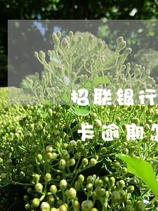 招联银行信用卡逾期怎么处理(招联银行信用卡逾期怎么处理的)