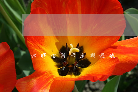 招聘信用卡逾期提醒