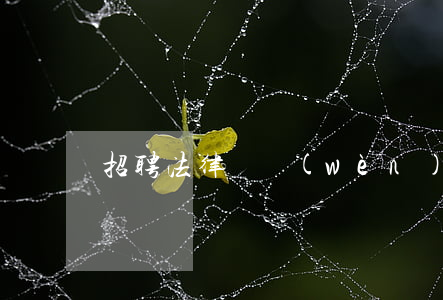 招聘法律顧問(wèn)的要求