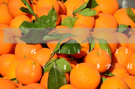 招聯(lián)1000元逾期2年應(yīng)還多少-招聯(lián)1000元逾期2年應(yīng)還多少利息