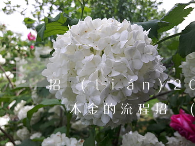 招聯(lián)2021協(xié)商還本金的流程（招聯(lián)協(xié)商還本金的流程）