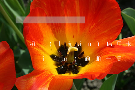 招聯(lián)信用卡逾期26天(招聯(lián)逾期一周)