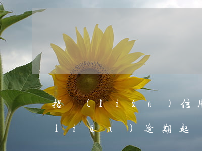 招聯(lián)信用卡逾期立案了(招聯(lián)逾期起訴我開庭我不去會(huì)怎么樣)