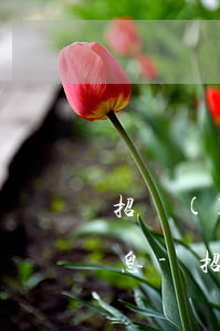 招聯(lián)好期待提前還款會減少利息-招聯(lián)好期待 提前還款