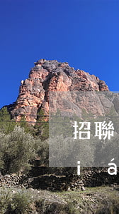招聯(lián)好期待逾期一天(招聯(lián)好期待逾期一天催收人工介入了,還是機(jī)器人)