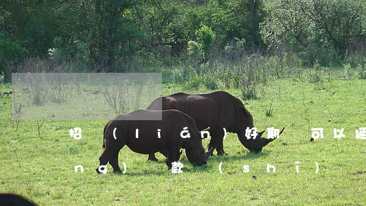 招聯(lián)好期貸可以延長(zhǎng)還款時(shí)間嗎-招聯(lián)好期貸可以延長(zhǎng)還款時(shí)間嗎多久
