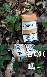 招聯(lián)好期貸可以提前部分還款嗎-
