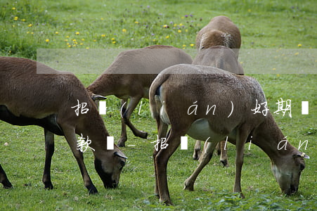 招聯(lián)好期貸待注銷后還需要還款嗎-招聯(lián)好期貸待注銷后還需要還款嗎安全嗎