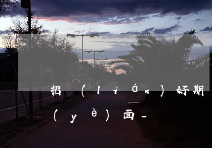 招聯(lián)好期貸怎么打不開還款頁(yè)面-