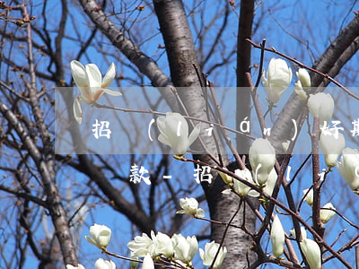 招聯(lián)好期貸怎么樣才可以延期還款-招聯(lián)好期貸怎么樣才可以延期還款呢