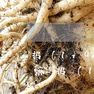 招聯(lián)好期貸提前還款可以在借嘛-招聯(lián)好期貸提前還款可以在借嘛