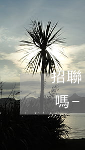 招聯(lián)好期貸提前還款可以在用嗎-