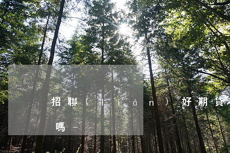 招聯(lián)好期貸支付寶還款能退款嗎-