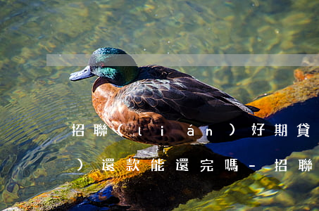 招聯(lián)好期貸每月按時(shí)還款能還完嗎-招聯(lián)好期貸每月按時(shí)還款能還完嗎安全嗎