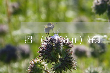 招聯(lián)好期貸疫情可以延期還款嗎-