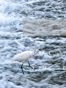 招聯(lián)好期貸親身經(jīng)歷-招聯(lián)好期貸容易通過嗎