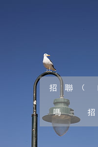 招聯(lián)好期貸賬單可以部分還款嗎-招聯(lián)好期貸賬單可以部分還款嗎怎么還