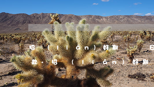 招聯(lián)好期貸賬單日能否最低還款-招聯(lián)好期貸賬單日能否最低還款呢