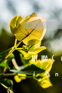 招聯(lián)好期貸 逾期1天(招聯(lián)好期貸逾期一天會影響到貸款買房嗎)