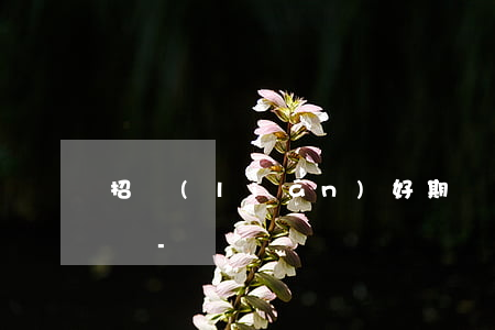 招聯(lián)好期貸逾期20萬會坐牢嗎-