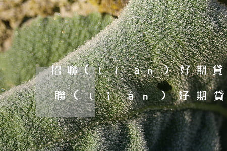 招聯(lián)好期貸逾期3萬被起訴(招聯(lián)好期貸逾期一個月發(fā)信息說要網(wǎng)上法律仲裁)