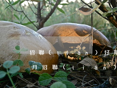 招聯(lián)好期貸逾期5個(gè)月(招聯(lián)好期貸還不上逾期二十天說(shuō)起訴我)