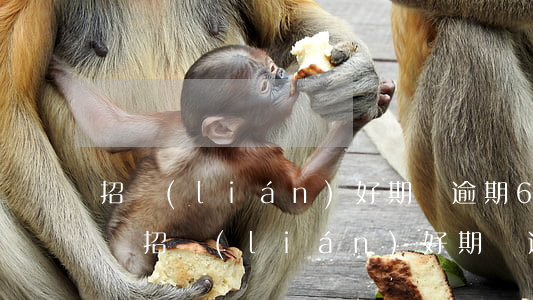 招聯(lián)好期貸逾期6千會被起訴嗎(招聯(lián)好期貸逾期一個月發(fā)信息說要網(wǎng)上法律仲裁)