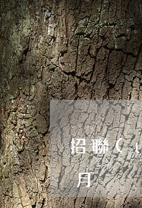招聯(lián)好期貸逾期一個(gè)月