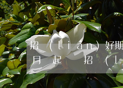 招聯(lián)好期貸逾期一個(gè)月會起訴嗎(招聯(lián)好期貸逾期一年會不會追究刑事責(zé)任)