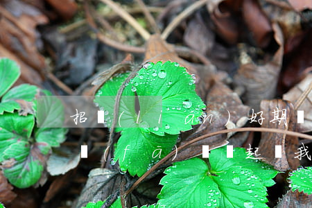 招聯(lián)好期貸逾期了60天短信發(fā)來說起訴我（招聯(lián)逾期4個月發(fā)信息起訴）