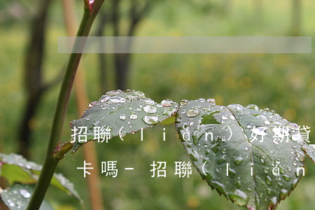 招聯(lián)好期貸逾期了可以辦銀行卡嗎-招聯(lián)好期貸逾期了可以辦銀行卡嗎安全嗎