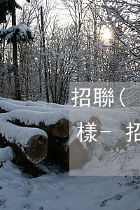 招聯(lián)好期貸逾期低于一百怎么樣-招聯(lián)好期貸逾期低于一百怎么樣了