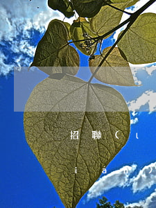 招聯(lián)好期貸 逾期兩天(招聯(lián)好期貸逾期兩天還進(jìn)去還能借出來嗎)