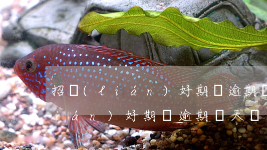 招聯(lián)好期貸 逾期兩天(招聯(lián)好期貸逾期兩天還進去還能借出來嗎)
