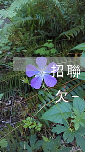 招聯(lián)好期貸逾期多久算惡意拖欠-招聯(lián)好期貸逾期多久算惡意拖欠了