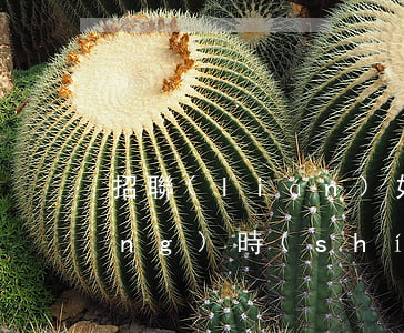 招聯(lián)好期貸逾期多長(zhǎng)時(shí)間會(huì)被起訴(招聯(lián)好期貸逾期一年會(huì)不會(huì)追究刑事責(zé)任)