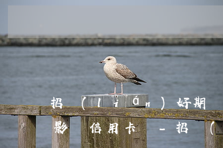 招聯(lián)好期貸逾期會(huì)影響信用卡嗎-招聯(lián)好期貸逾期會(huì)影響信用卡嗎