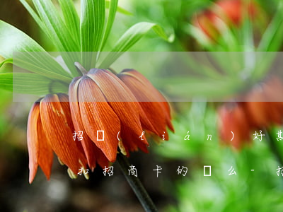 招聯(lián)好期貸逾期會(huì)扣招商卡的錢么-招聯(lián)好期貸逾期會(huì)扣招商卡的錢么嗎